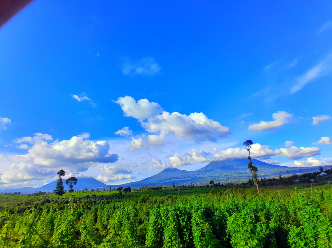 Volcanoes National Park Rwanda景点图片