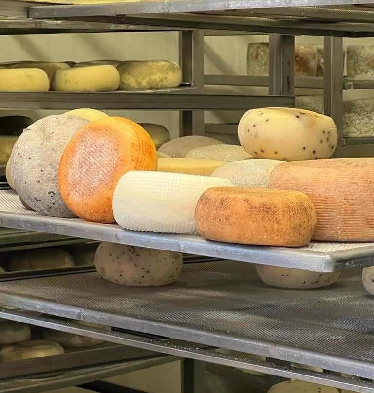 Fattoria Pianporcino-皮恩扎必去景点