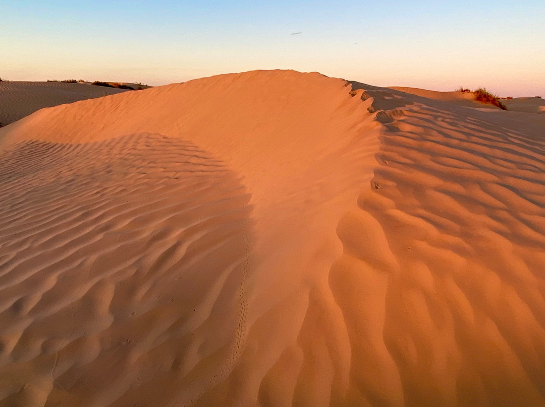 Sahha Sahara景点图片