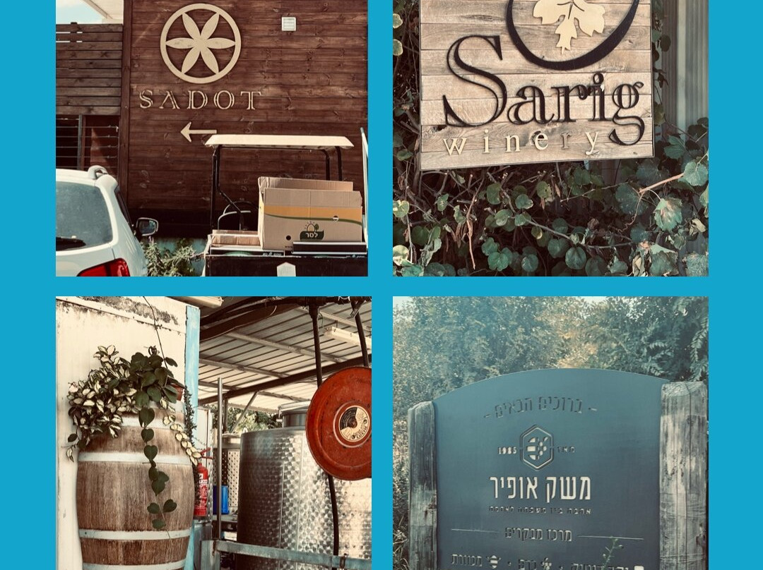 Israelity travel-特拉维夫必去景点