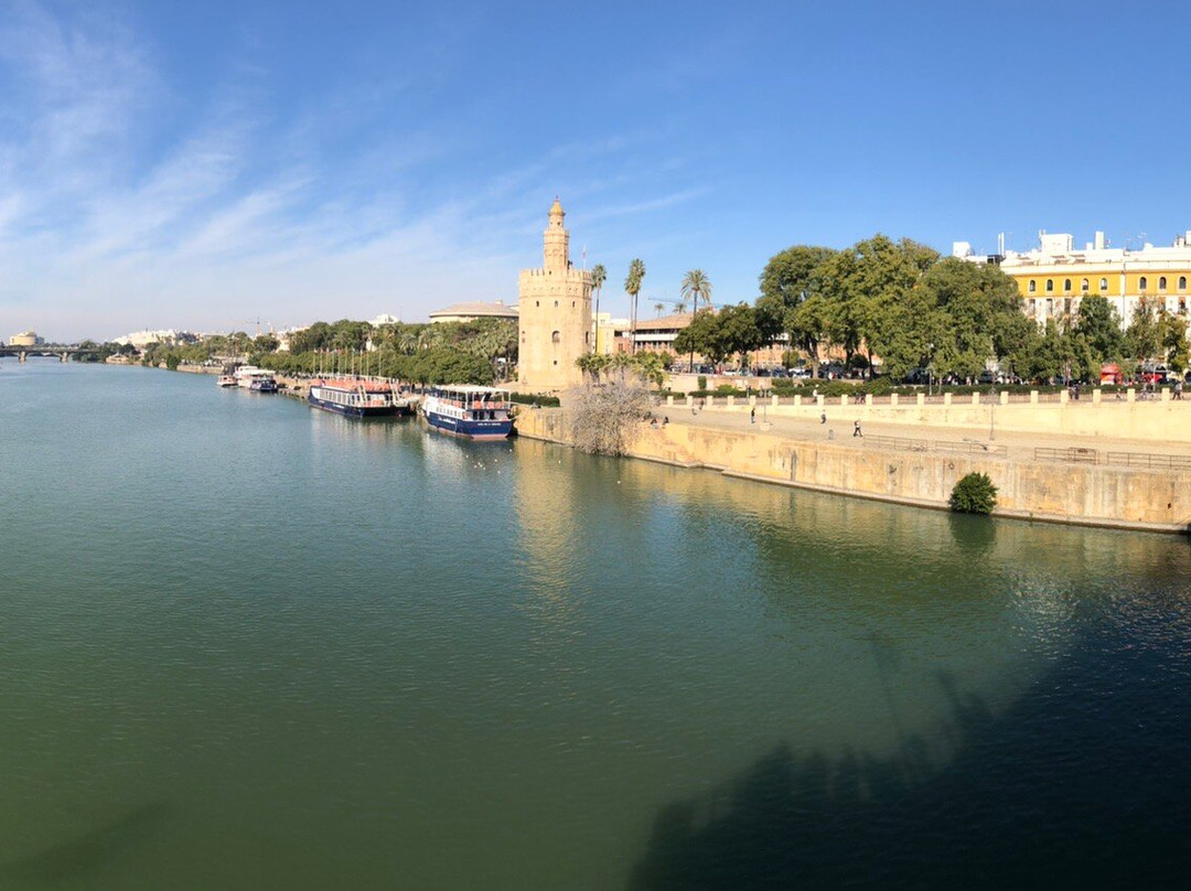 Tours By Locals-塞维利亚必去景点