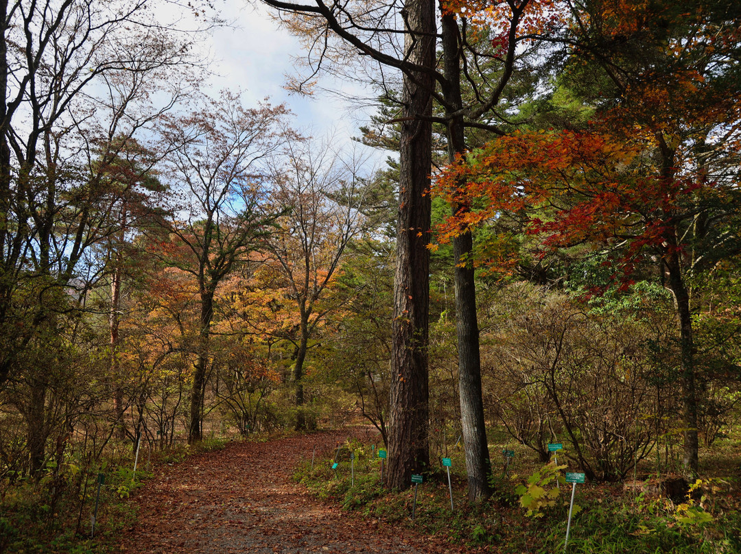 Nikko Botanical Garden-日光市必去景点