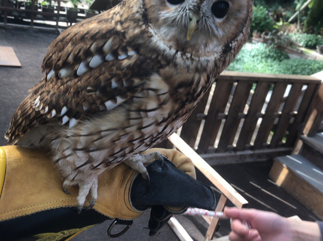 松江花鳥園-松江市必去景点
