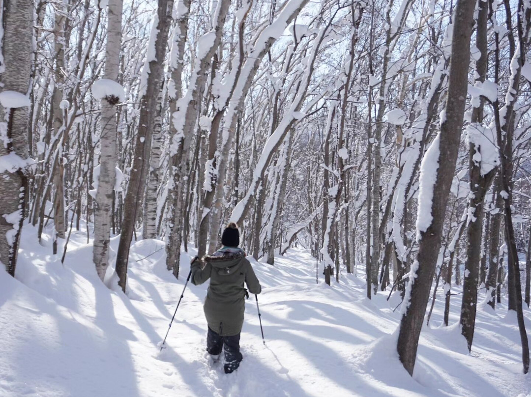 Niseko Snowshoe Tours-俱知安町必去景点