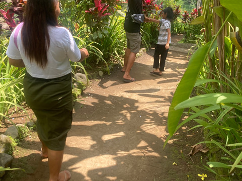 Bali Wander Tours-水明漾必去景点