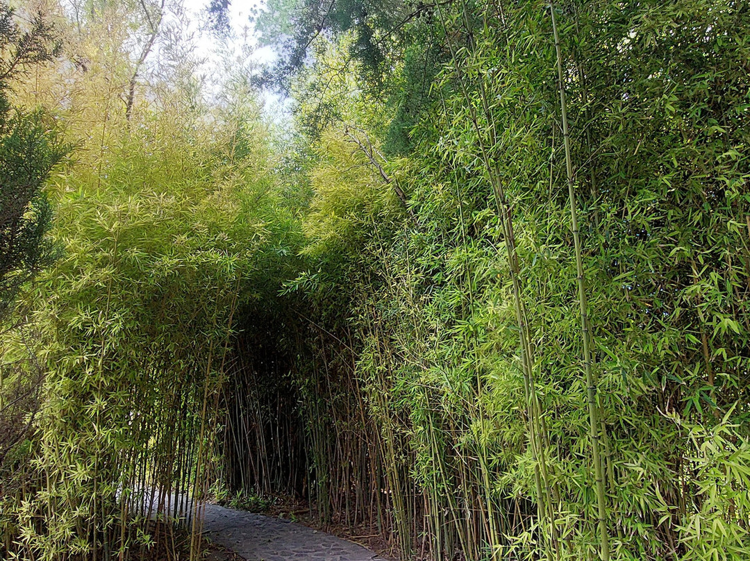 Hotel Atotonilco El Viejo主图