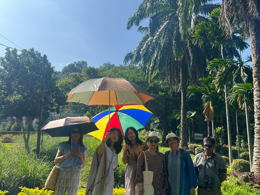 A4 Tours景点图片
