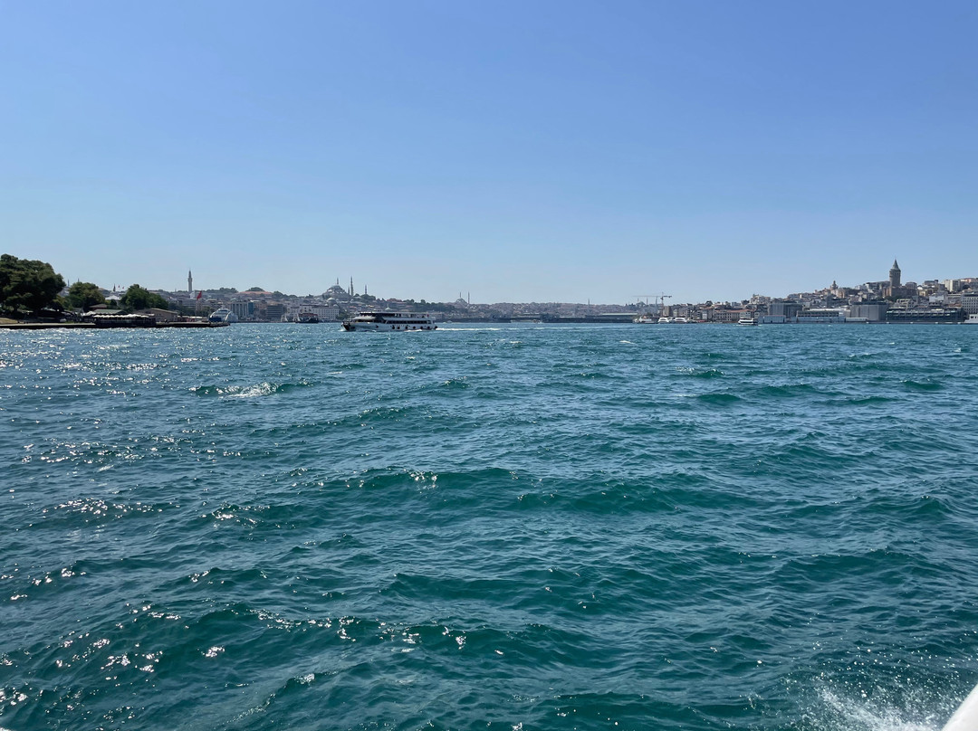 Istanbul Bosphorus Cruise-伊斯坦布尔必去景点