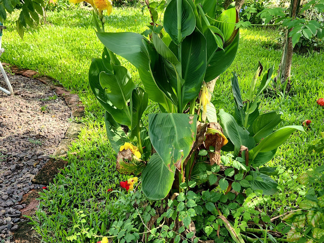 Hospedaje San Cayetano主图