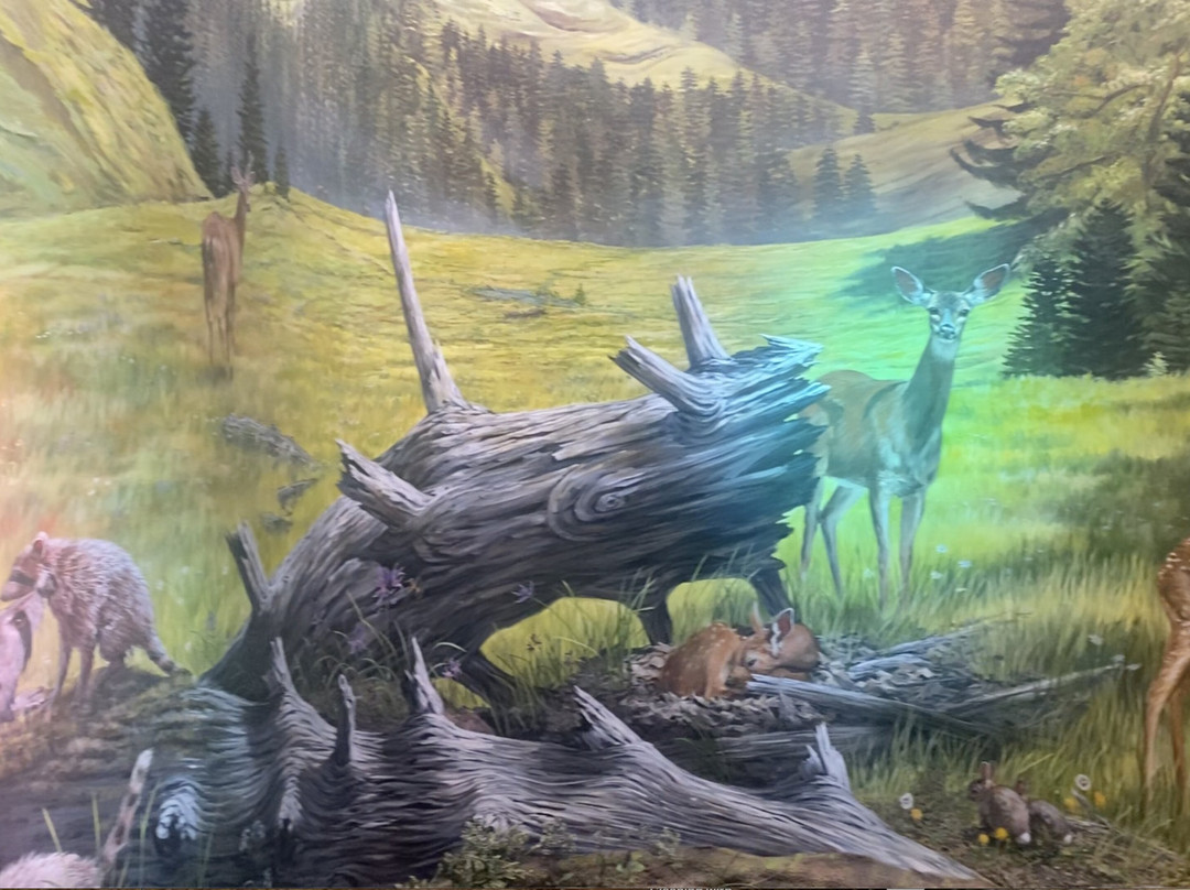 Umpqua Discovery Center景点图片