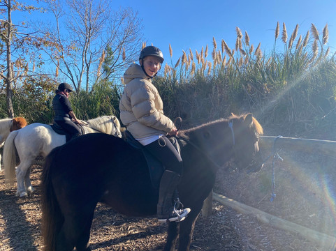 Christchurch Icelandic Horse Treks-基督城必去景点