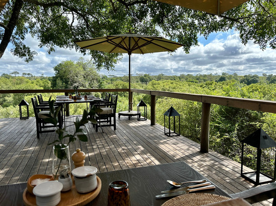 Londolozi Tree Camp主图