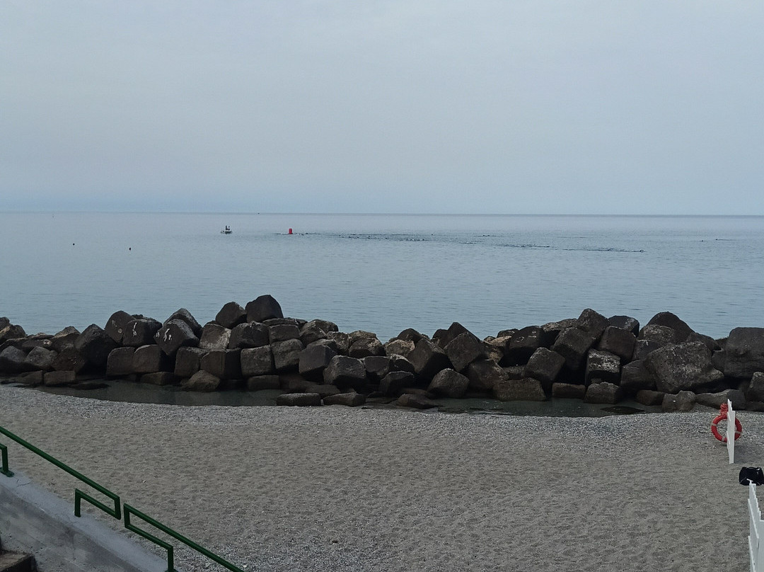 Nettuno Palace Hotel主图