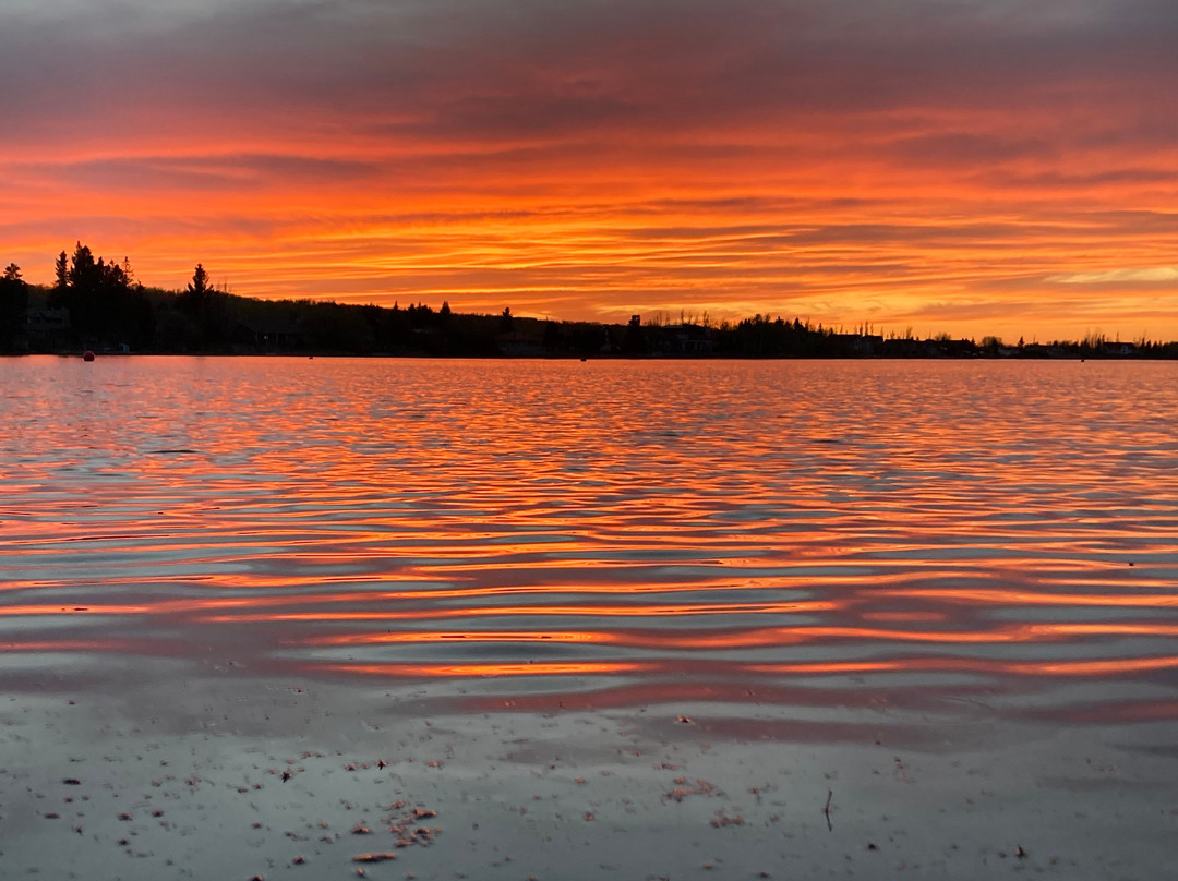 Sandy Beach Regional Park-劳埃德明斯特必去景点