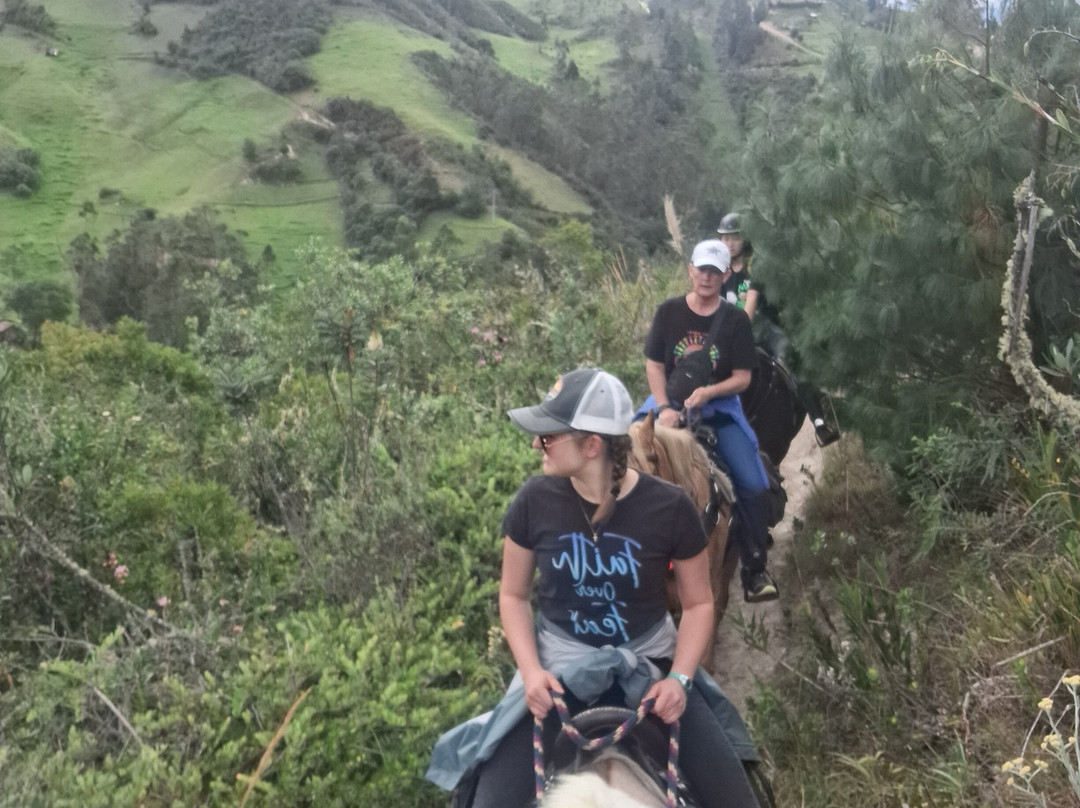 Horse Trekking Ecuador景点图片