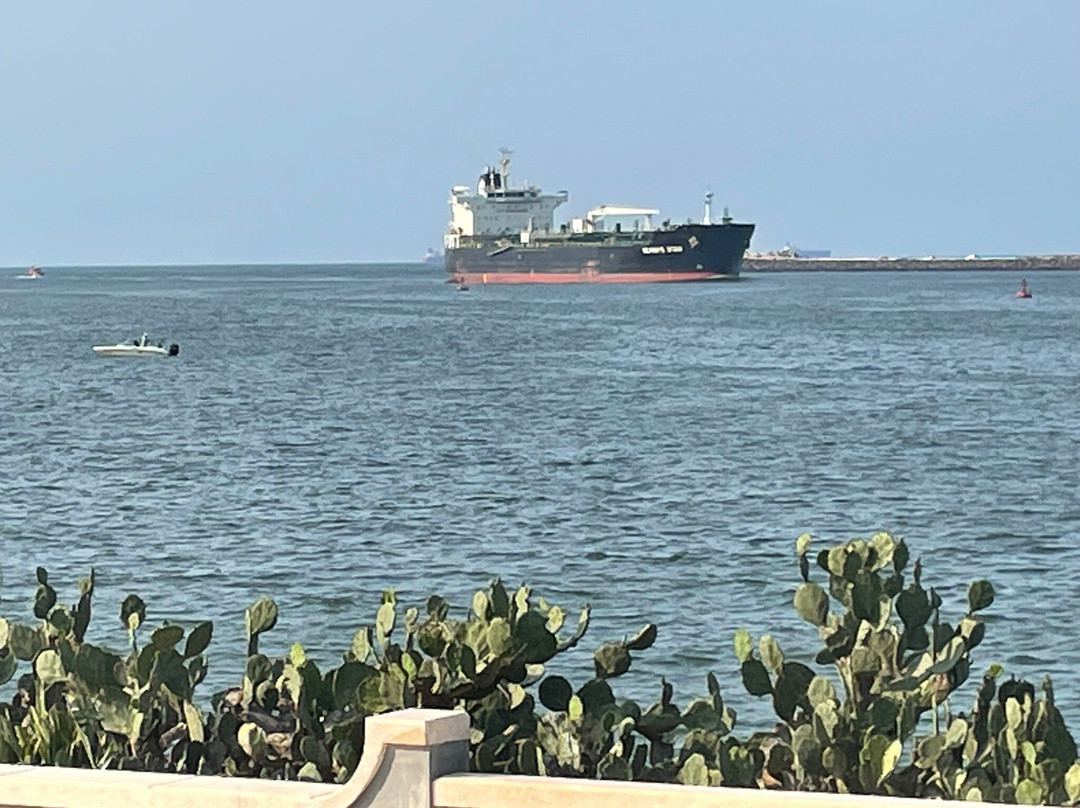 Malecon de Coatzacoalcos景点图片