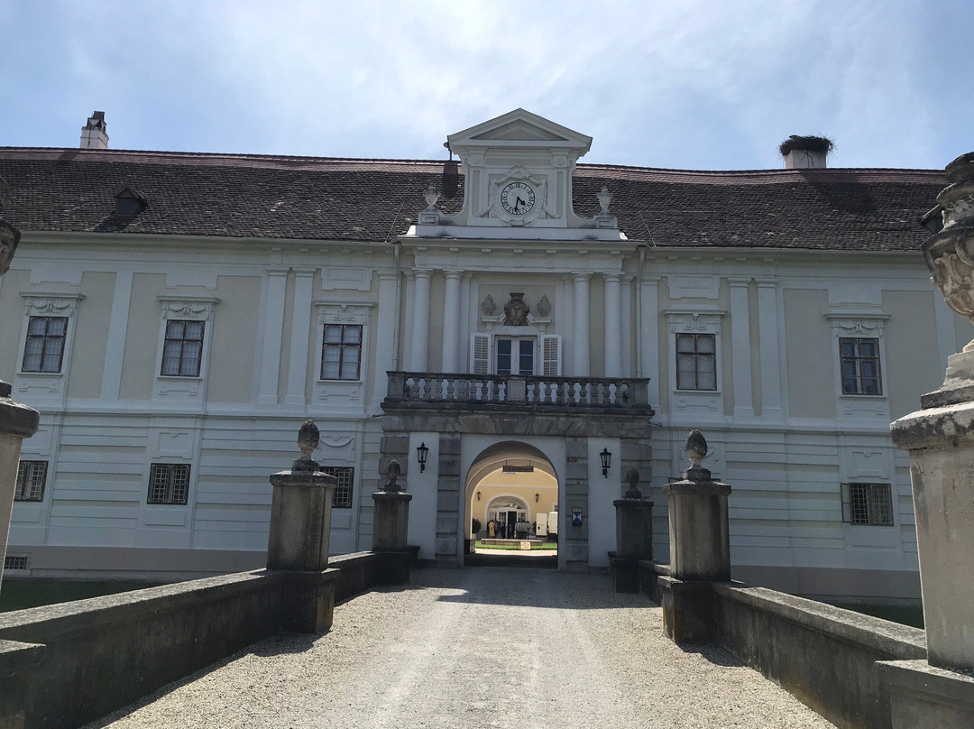 Schloss Rohrau景点图片