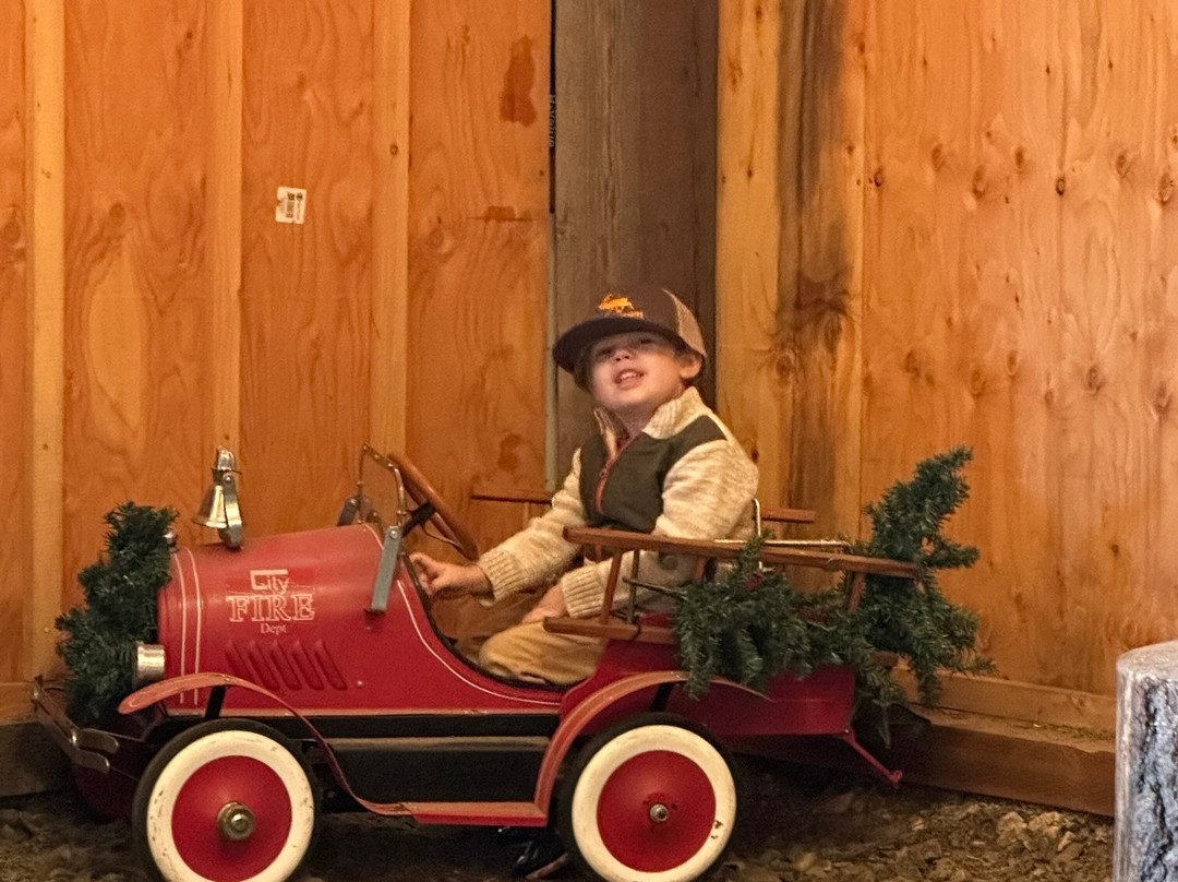 Goldendale Reindeer-Goldendale必去景点