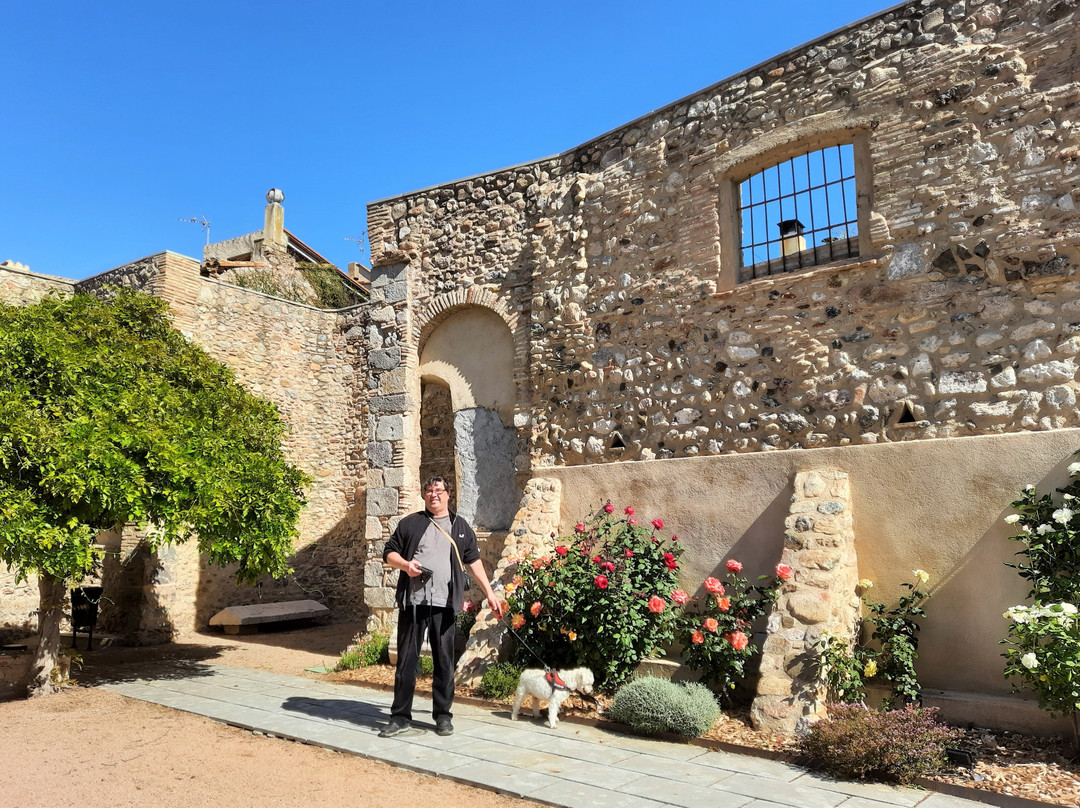 Romanesque cloister of Sant Domenec (Museum of the town)景点图片