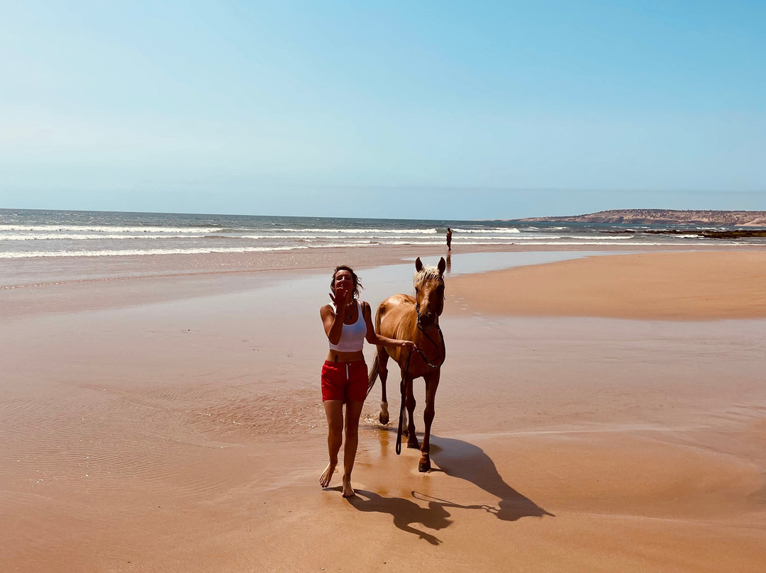 Morocco Ocean Horses-Sidi Kaouki必去景点