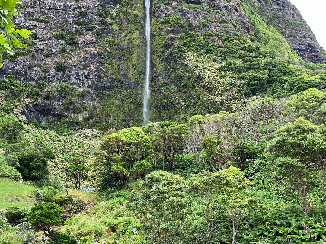 Experience Oc-Santa Cruz das Flores必去景点
