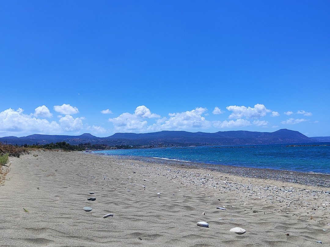 Polis Municipal Beach-城邦必去景点