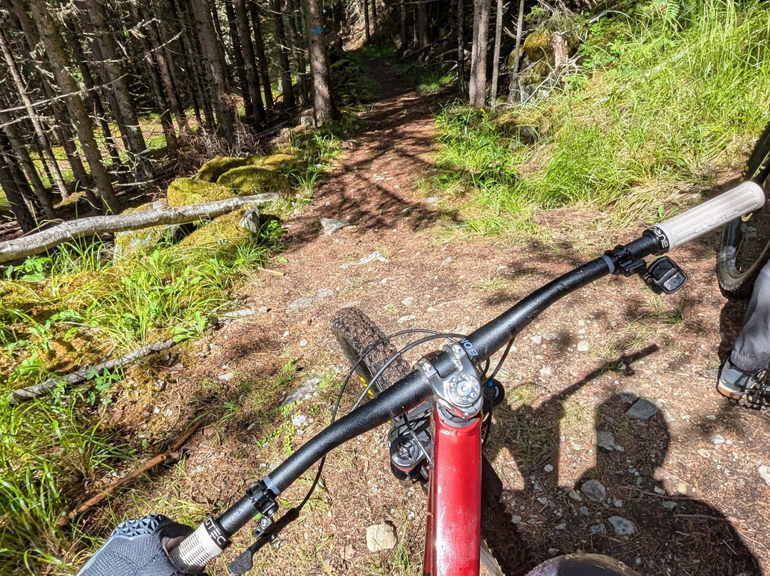 Any Excuse To Ride景点图片