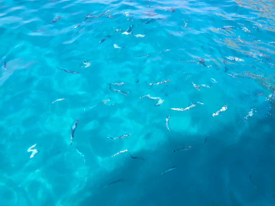 Tropea Blue Sea-特罗佩阿必去景点