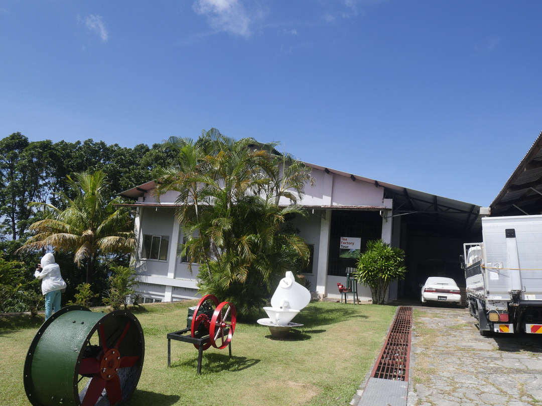 Tea Factory-马埃岛必去景点