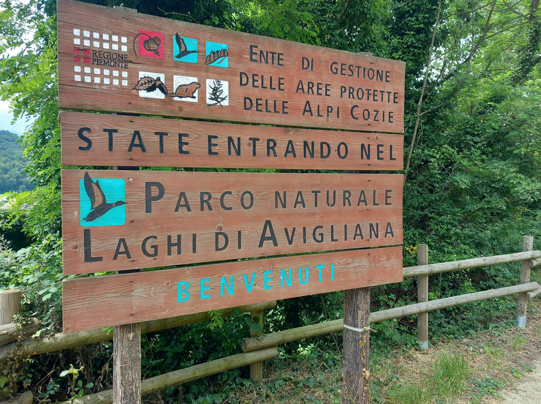 Parco Naturale dei Laghi di Avigliana景点图片