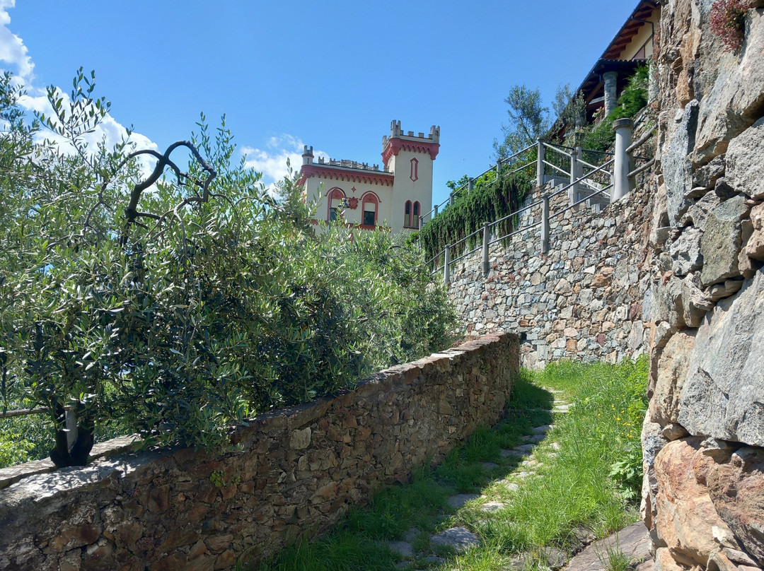 Castello Baraing景点图片