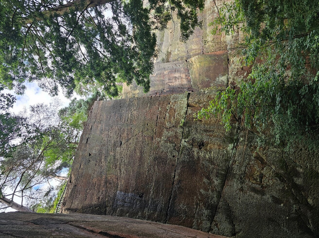 Nesscliffe Country Park-Nesscliffe必去景点