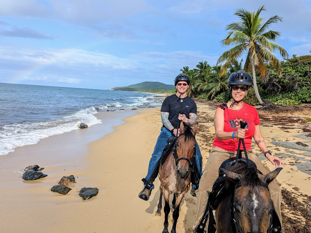 Sailh's Paradise Horse Riding
