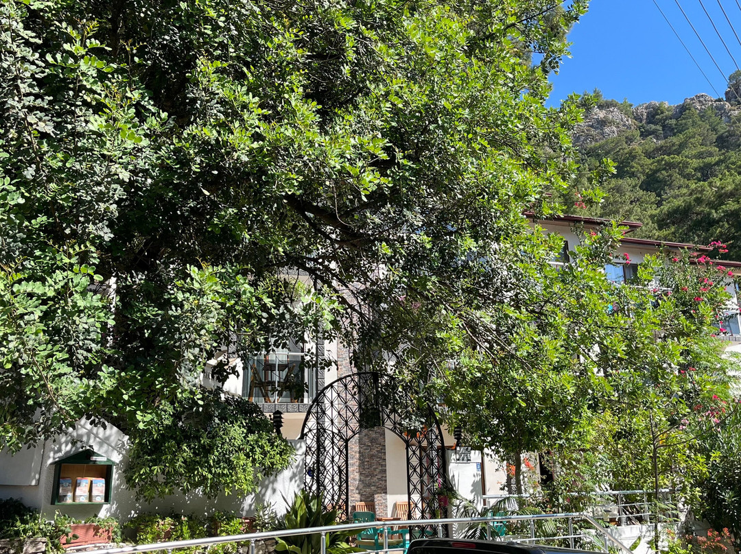 Eden Pyara Hotel Turunc主图