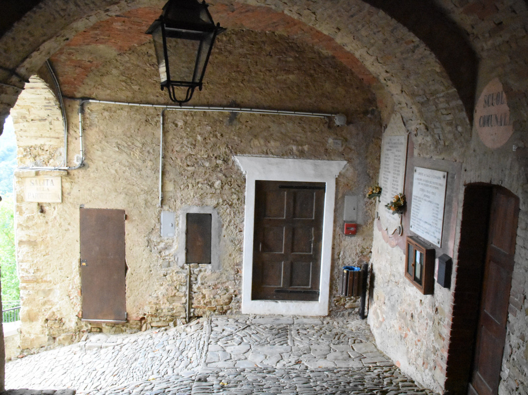 Fioritura della Lavanda景点图片