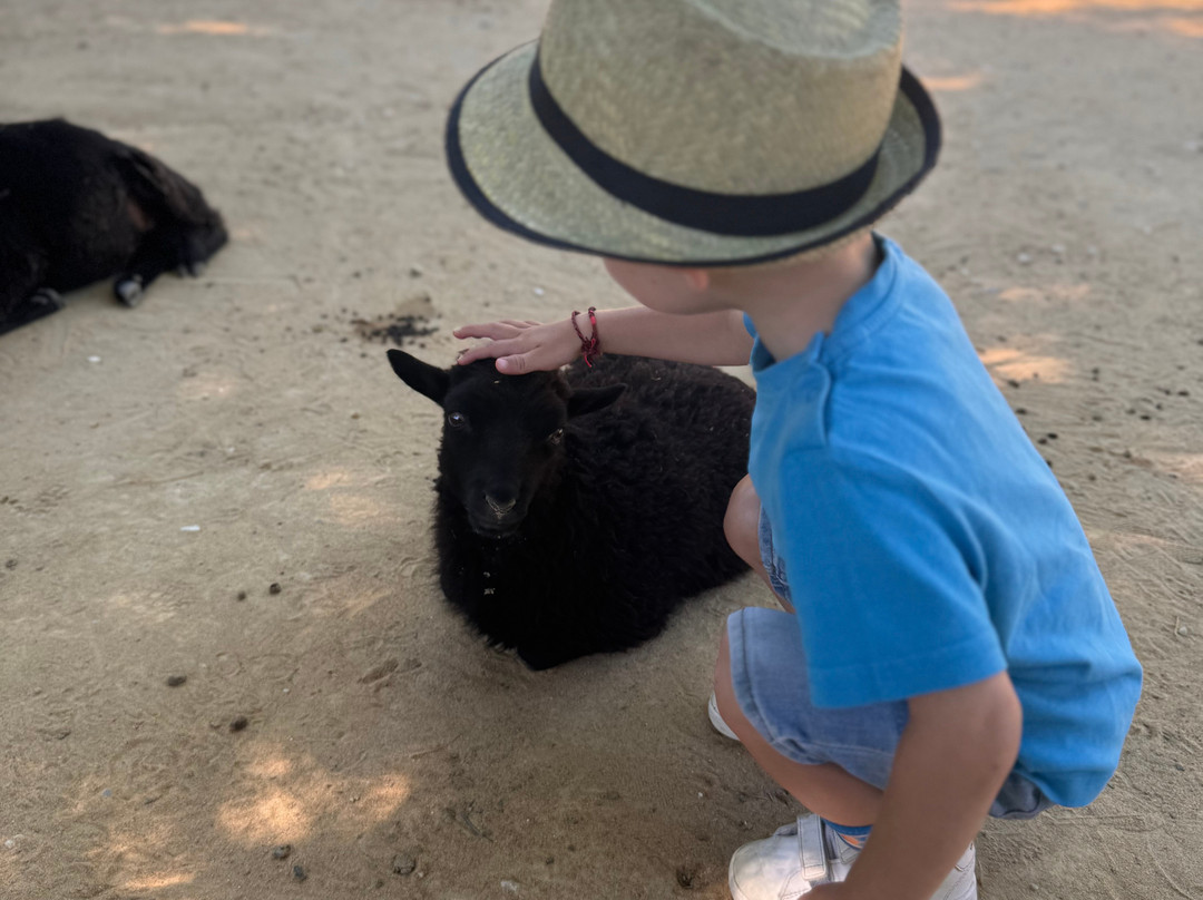 Zoo d'Upie Le Jardin Aux Oiseaux景点图片