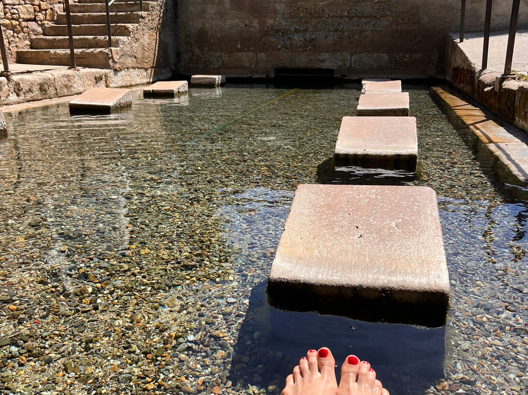 Piscine d'Alet les Bains景点图片