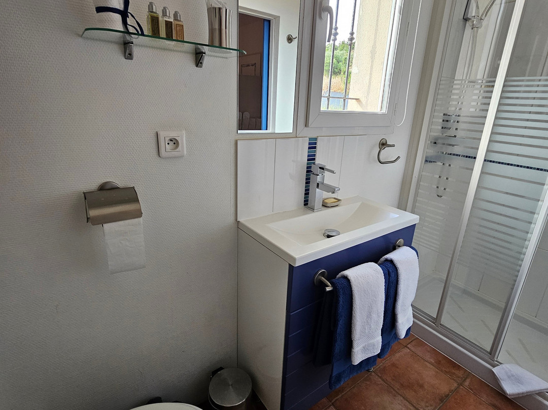 La Cigale sous l'Olivier主图