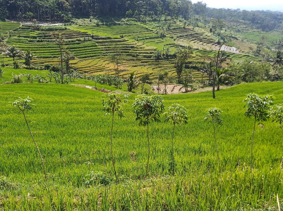Jaker Tour Borobudur-Borobudur必去景点