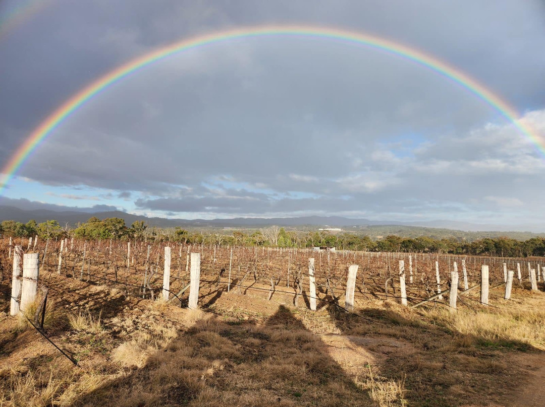 Ballandean Estate Wines景点图片