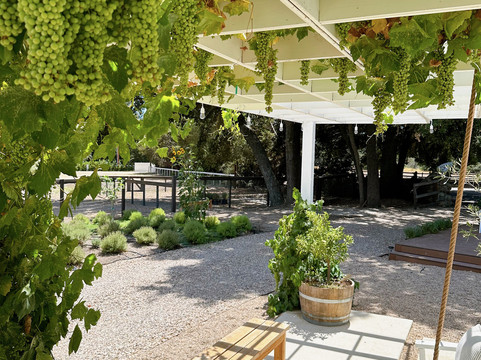 Olive + Lavender Farms-洛斯奥利沃斯必去景点