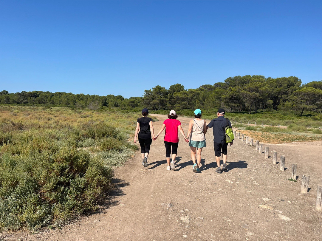 Bois des Aresquiers景点图片