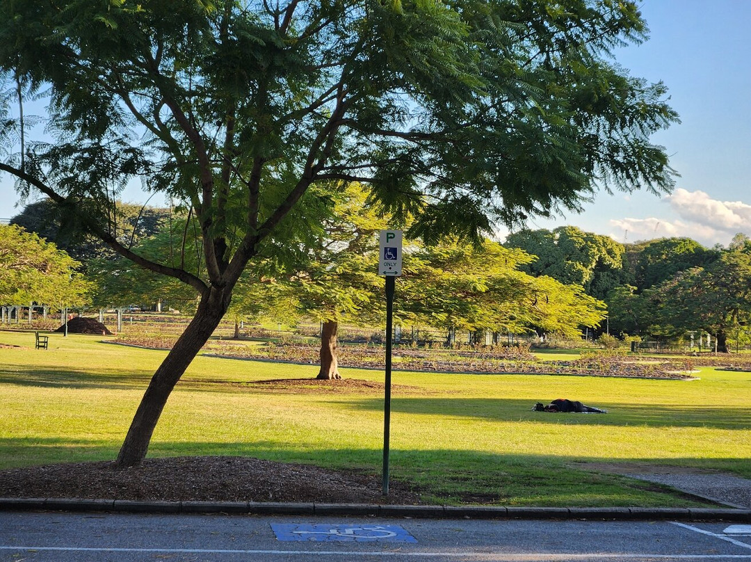 New Farm Park-布里斯班必去景点