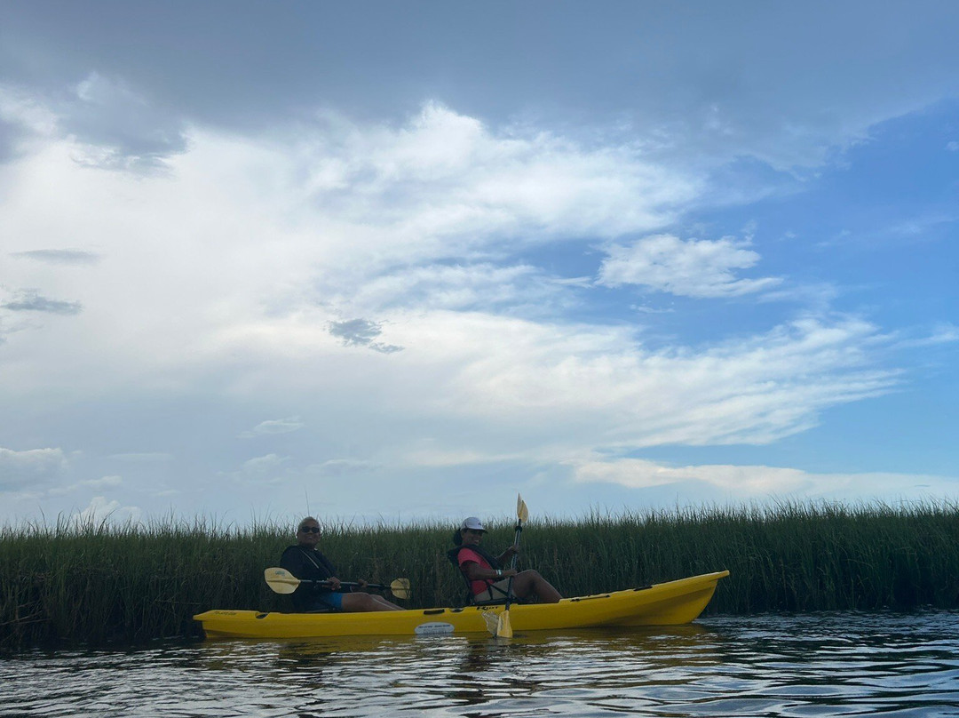 Amelia Island Nature Center-阿米莉亚岛必去景点
