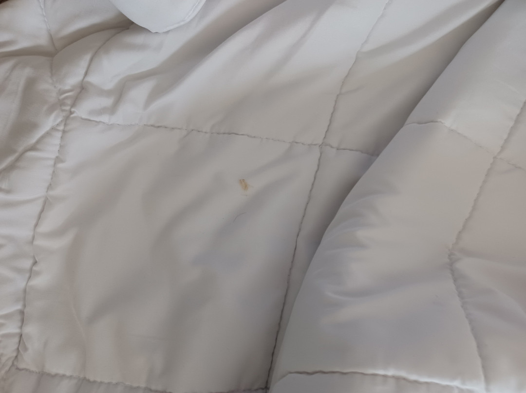 Hampton Inn North Myrtle Beach-Harbourgate主图