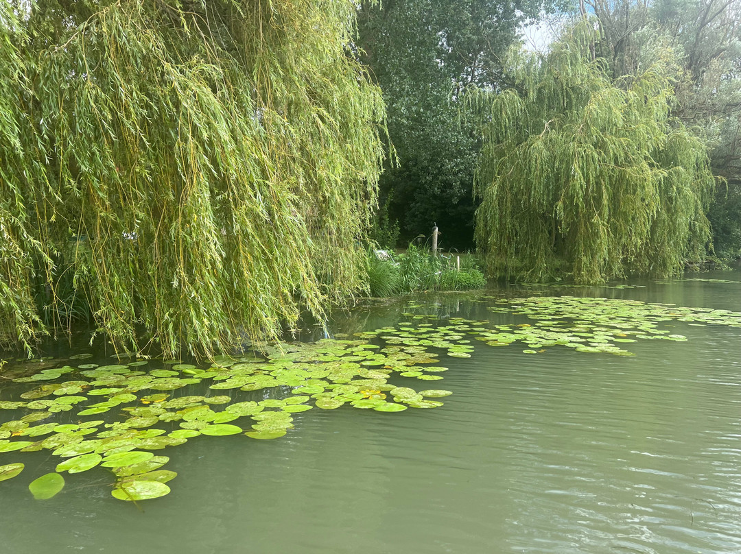Embarcadère du Marais Poitevin景点图片