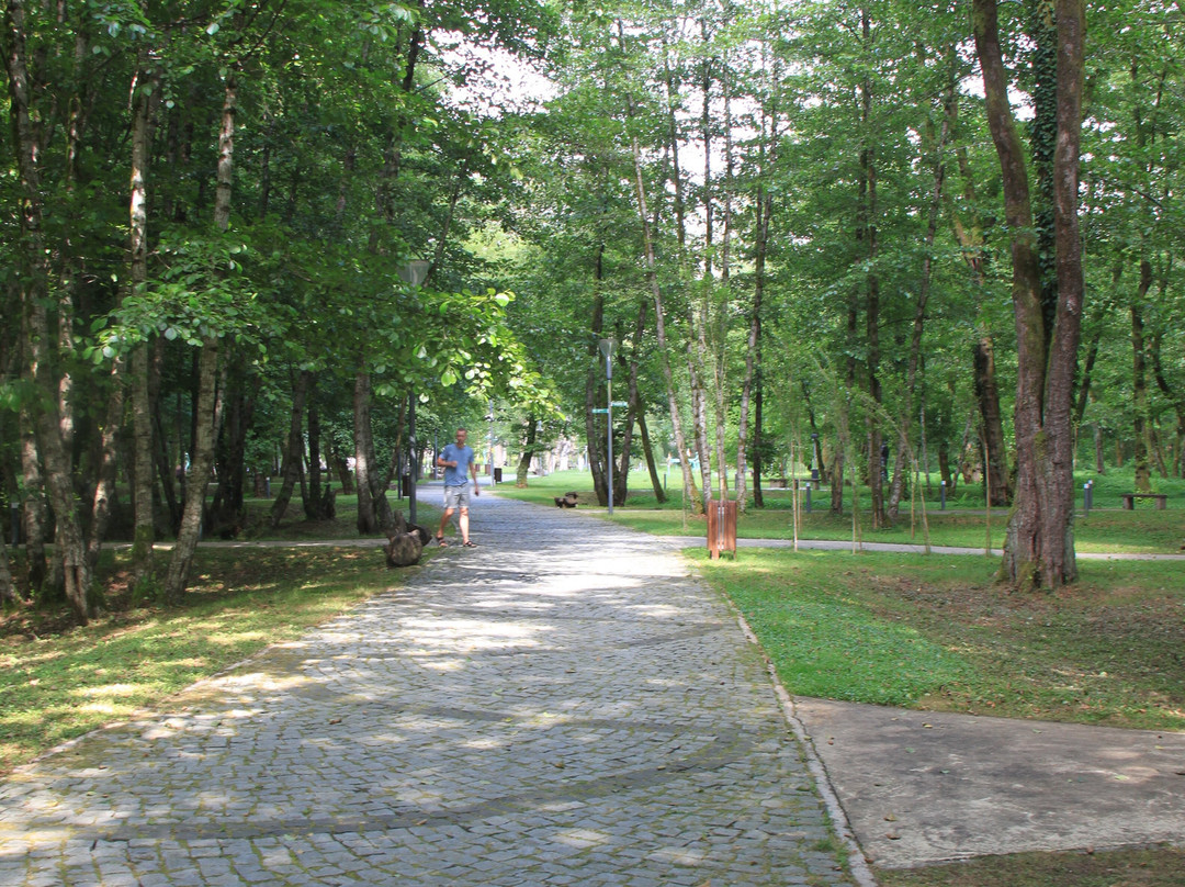 Musicians Park景点图片