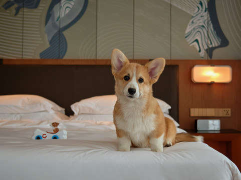 西安高新凯悦尚萃酒店主图