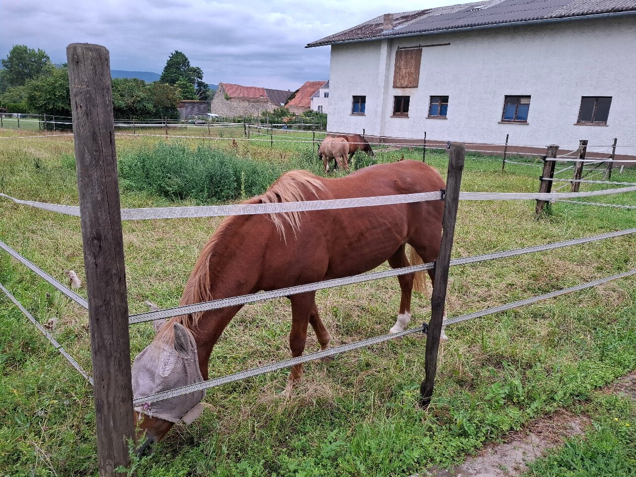 Fetzer's Landhotel-官方