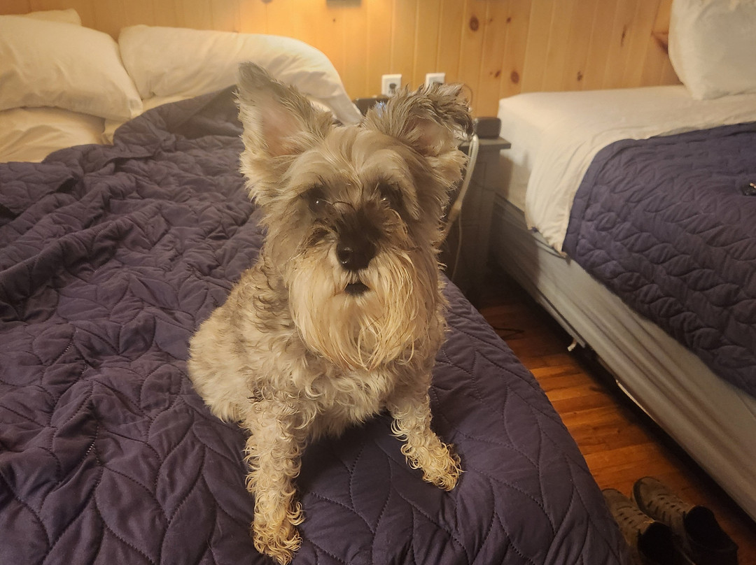 Tuggle's Gap Roadside Inn主图